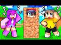 Hiding Inside Of Blocks To Fool My Friends Minecraft