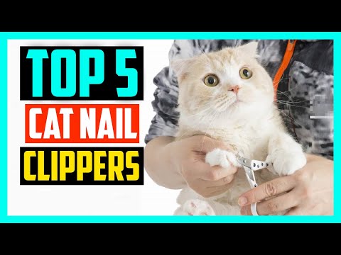 ✅Top 5 Best Cat Nail Clippers in 2022