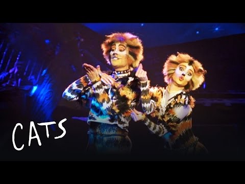 Mungojerrie and Rumpelteazer | Cats the Musical