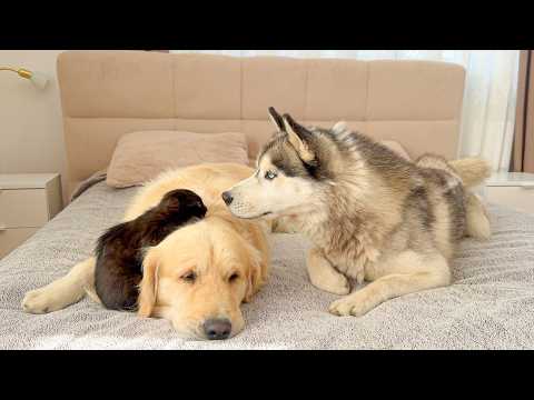 YouTube 썸네일