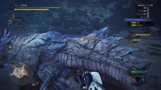 モンスターハンターワールド：アイスボーン_歴戦イヴェルカーナ弓ソロ