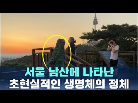 서울 남산에 나타난 초현실적인 생명체의 정체
