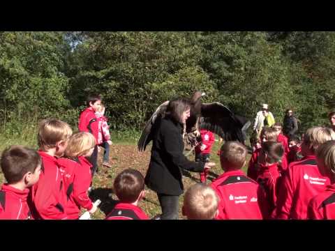 Eintracht Frankfurt Fußballschule - Herbst I - Attila