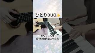 Download lagu サン=サーンス『白鳥』をギターとピアノで「ひとりDUO」してみた / Saint-Saëns: 'The Swan' Self-DUO with Guitar & Piano mp3 Download lagu サン=サーンス『白鳥』をギターとピアノで「ひとりDUO」してみた / Saint-Saëns: 'The Swan' Self-DUO with Guitar & Piano mp3