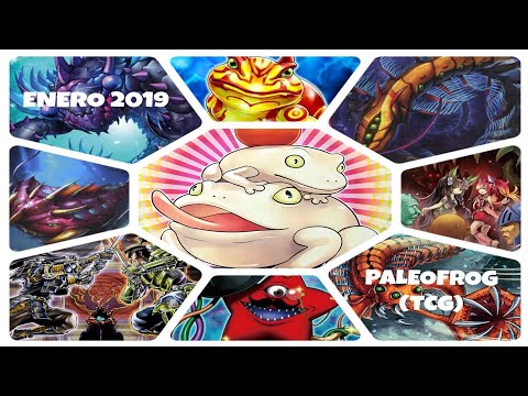 YGOPRO-Deck PaleoFrog (Enero 2019)