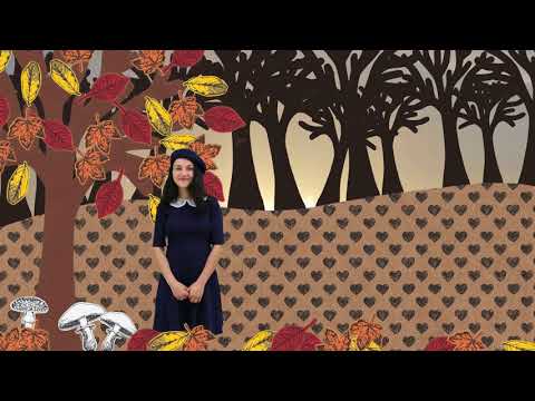 Romanian in Use - Lucrurile mici (The Little Things)