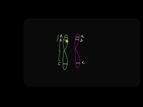 Linkage and Recombination | Principles of Inheritance and Variation | Biology | Khan Academy