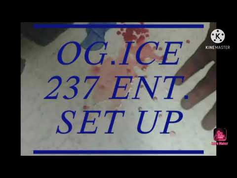 OG.ICE 237ENT. SET UP