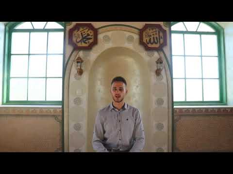 Meštrić Velid - odnos prema komšijama