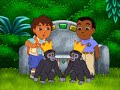 Diego Completing Helping The Baby Gorillas Became Kings Of The Mountain