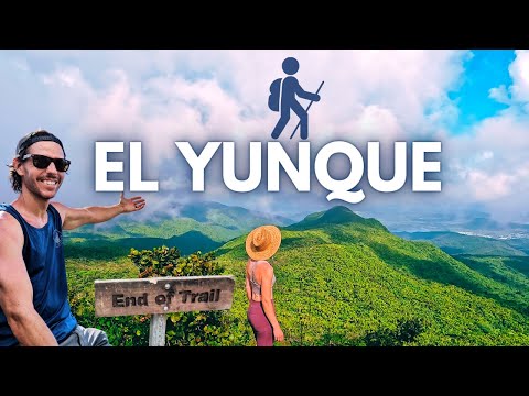 El Yunque's Most Challenging Trail | Crazy Puerto Rico Hike