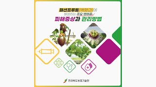 패션프루트 주요 병해충 피해증상과 관리방법