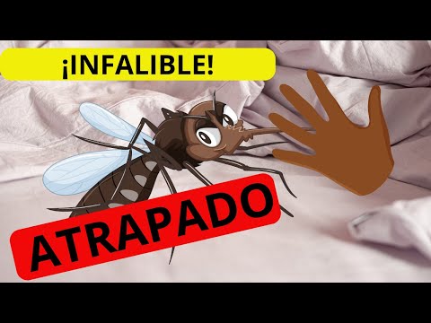 ATRAPA MOSQUITOS EN EL DORMITORIO CON ESTE SIMPLE TRUCO