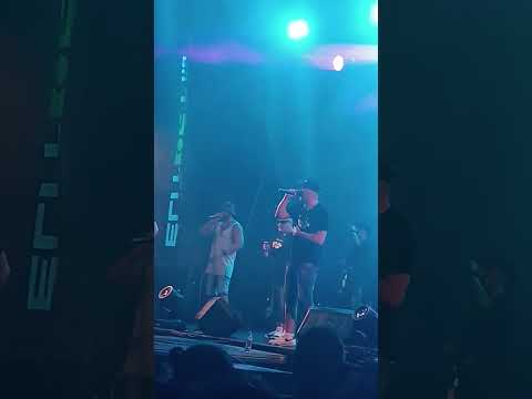 Мишо Шамара -Куките ме дебнат