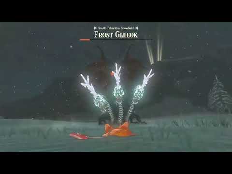 Zelda Tears of the Kingdom Frost Gleeok South Tabantha 3 Hearts, 1 Stamina Wheel, Naked, No Damage