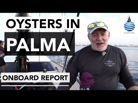 Oyster Regatta Palma 2019
