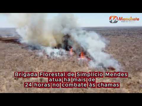 Brigada Florestal de Simplício Mendes atua há mais de 24 horas no combate às chamas 