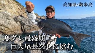 寒グレ最盛期 高知県鵜来島エリアの巨大尾長グレに挑む【G WORLD #62】