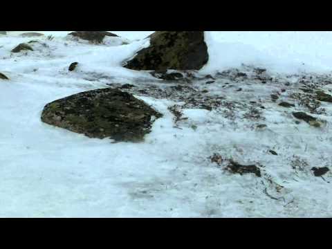 On the way to Kebnekaise Fjällstation