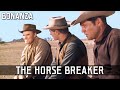 Bonanza - The Horse Breaker | Episode 76 | Full Length Western Series | English