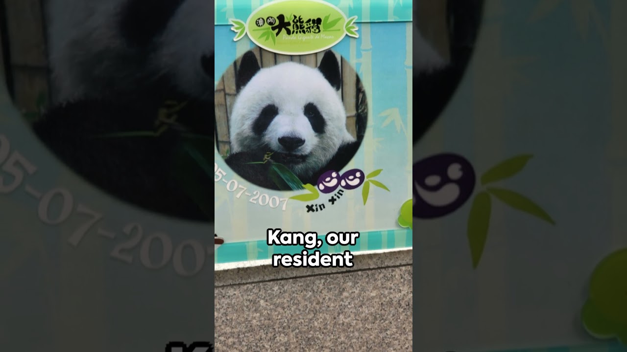 YouTube Short thumbnail