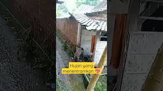 Download lagu Ingat kopi panas & singkong goreng jika hujan #shorts mp3