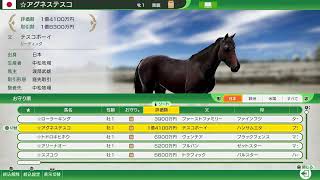 PS5 (ウイニングポスト10ハイセイコー時代シナリオ　プレイ#11セリでいい馬いねえか