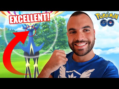 COME FARE ECCELLENTE su XERNEAS! - Pokémon GO
