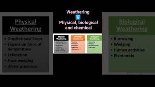 Weathering and types , difference between them. Physical ❄️🌲 chemical 💧☀️ biological🌱🌲.
