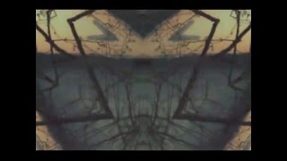 Butterfly on a Jet ~ Lord Raja