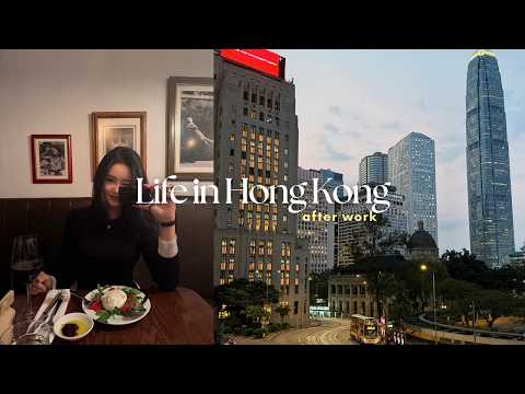 tlzx-led-video