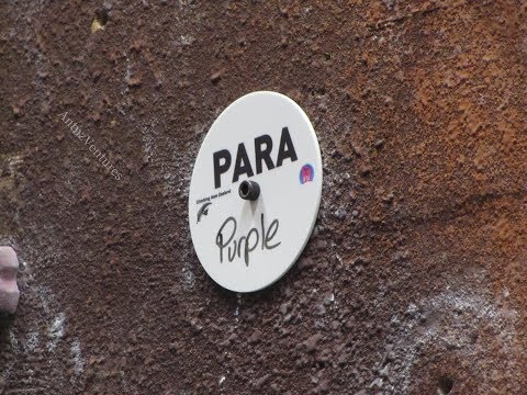 Climbing NZ Lead National Champs 2017; Q2 Paraclimbing