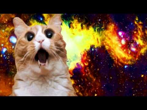 Highstyle - Completely Twisted