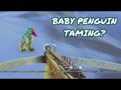We Need Polymer! Penguin Taming! | ARK Caballus