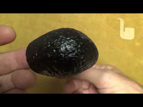 Pipa Peterson Halloween 2025 System Standard 312