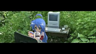 Ten本桜