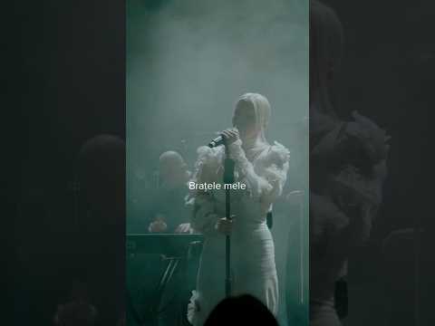 Dara - Brațele Demo #dara #hituri #muzicanoua2023 #romanesti