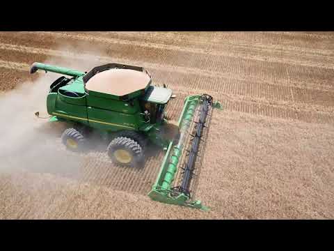 Wheat Harvest 2018 Northwest Of McCune, Kansas