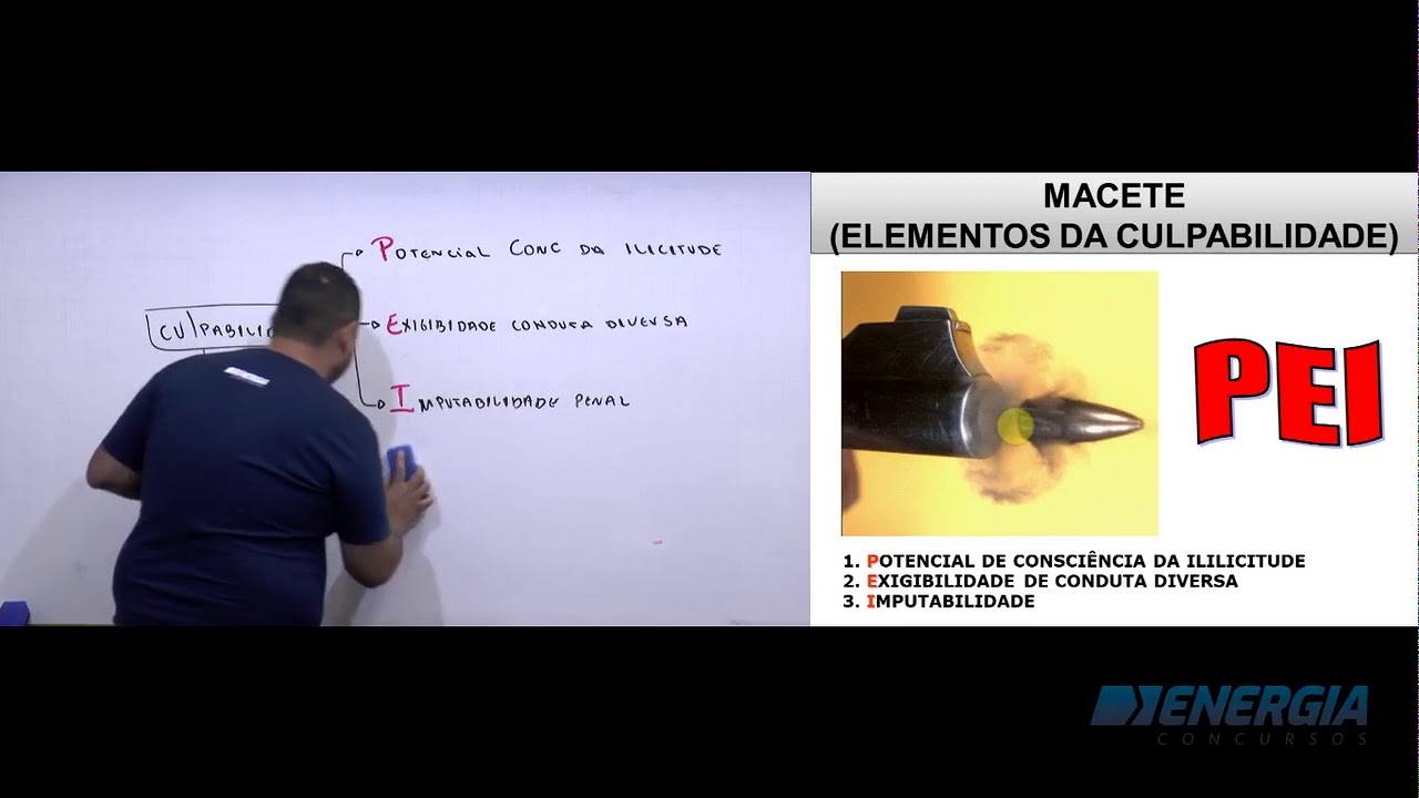 TJSC - Direito Penal - Imputabilidade Penal  - Renato
