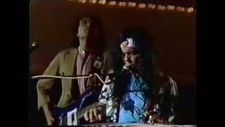 Solid Gold (Season 2 / 1981) David Lindley - &quot;Mercury Blues&quot;