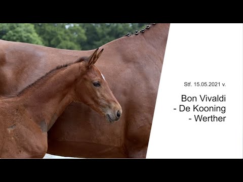 Bon Vivaldi - For Sale