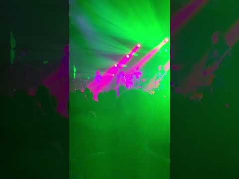 Pigeons Playing Ping Pong at town ballroom, Buffalo NY.