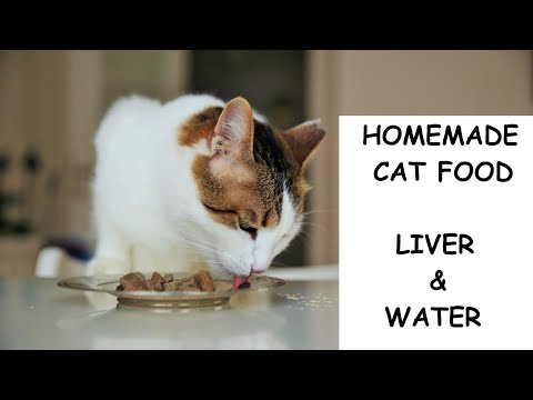 homemade cat food - liver and water