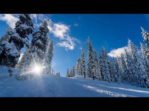 Guclu Antonelli - Winter Sessions 1