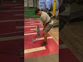 Quads (legs day )