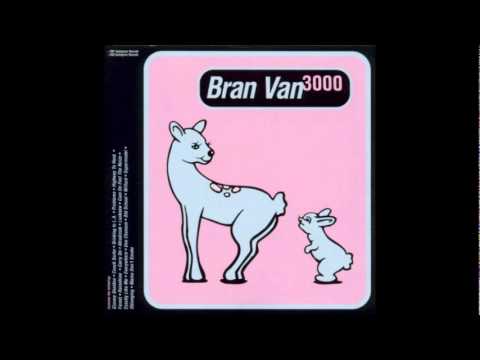 Bran Van 3000 - Problems