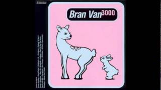 Bran Van 3000 - Problems