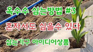 옥수수 심는방법 #3 혼자심기