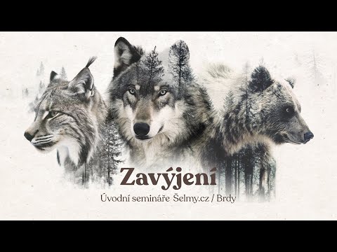 Náhled pro video reference