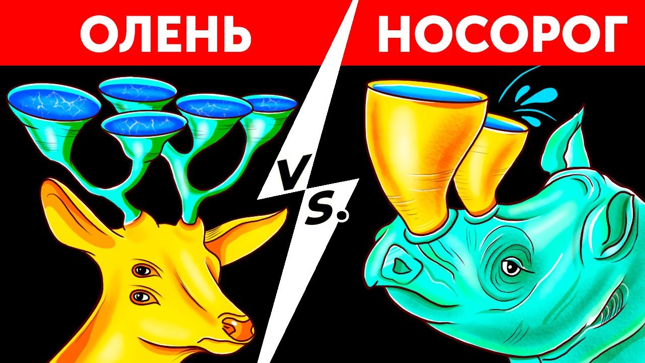 Как будут выглядеть животные на Земле через миллион лет